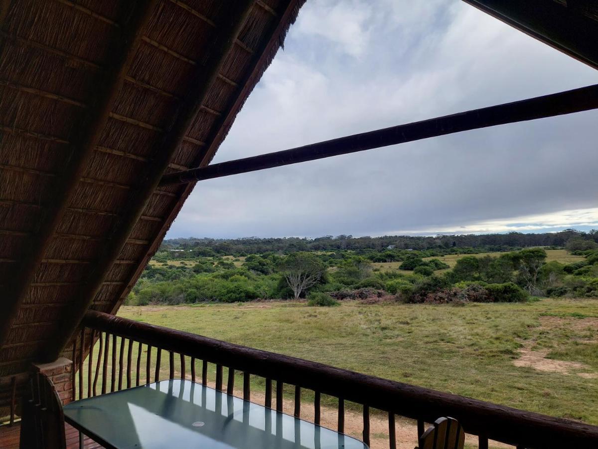 Kragga Kamma Game Park Villa Port Elizabeth Bagian luar foto
